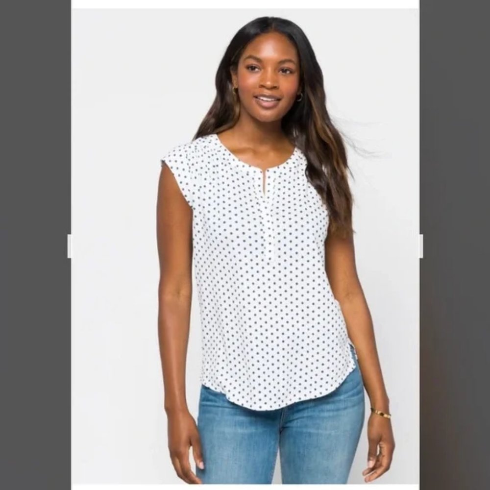 Daniel Rainn Abrienne Top Small White & Navy Blue Polka Dots Stripes
